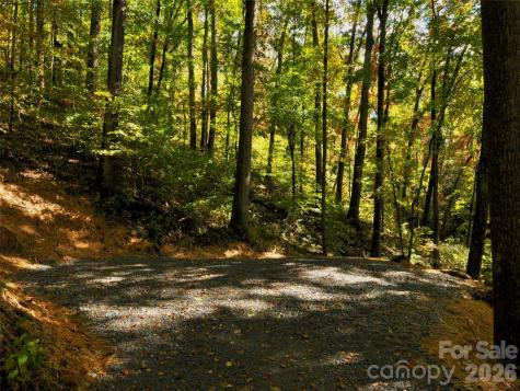 841 Blackthorne Lane Arden NC 28704