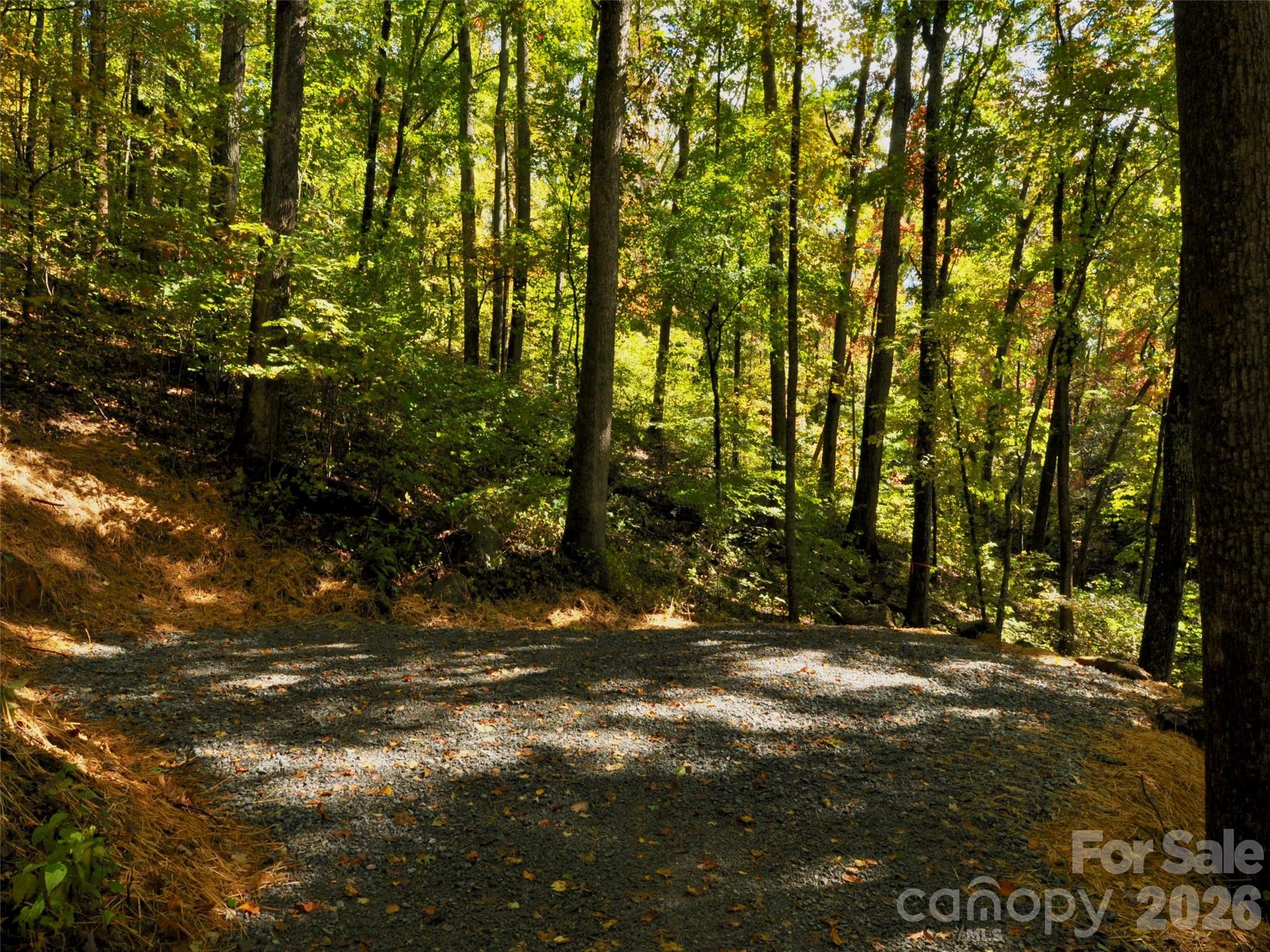 841 Blackthorne Lane Arden NC 28704