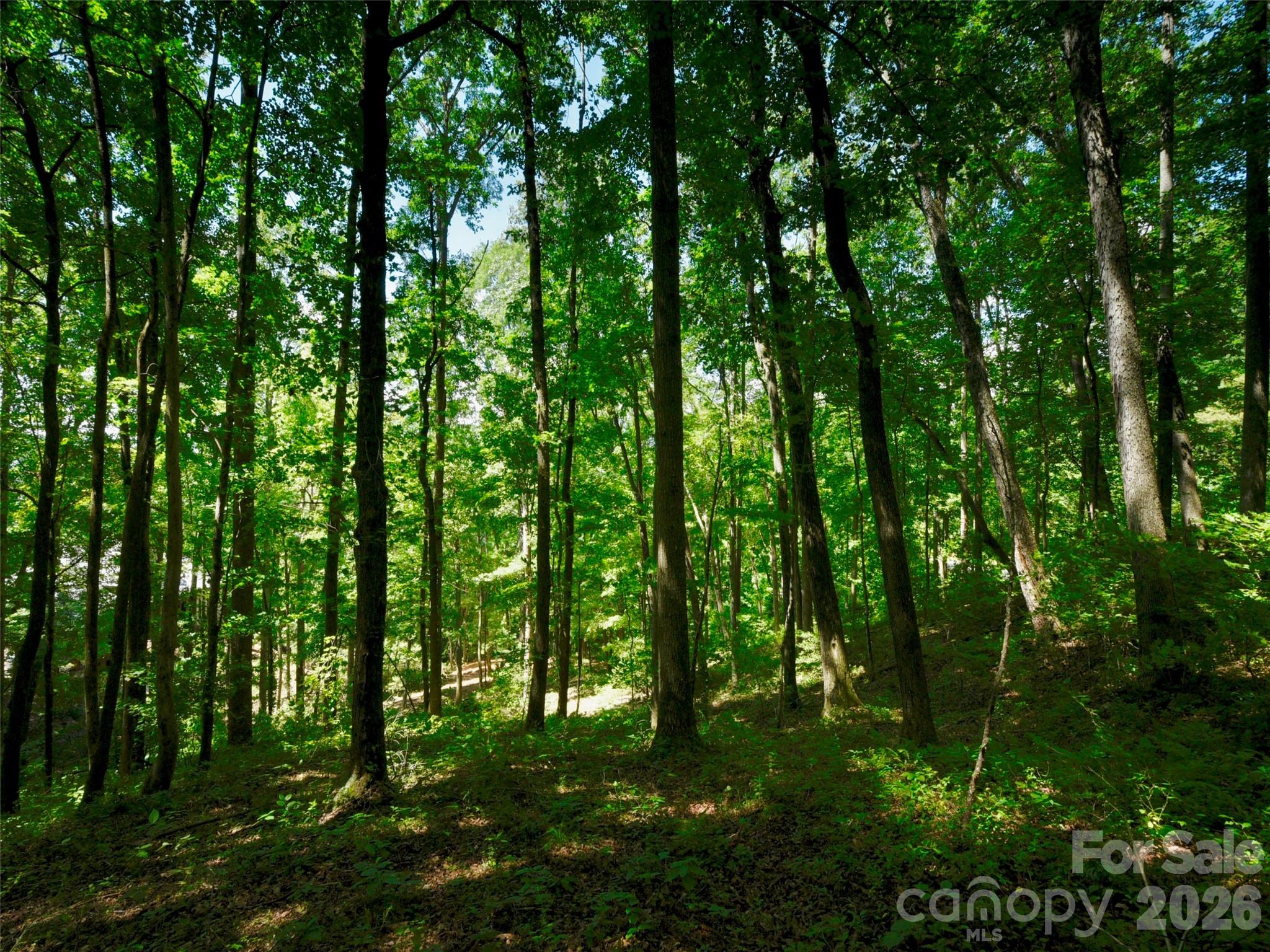 841 Blackthorne Lane Arden NC 28704