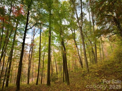 841 Blackthorne Lane Arden NC 28704