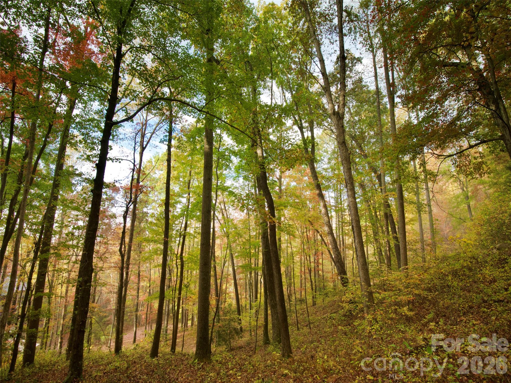 841 Blackthorne Lane Arden NC 28704