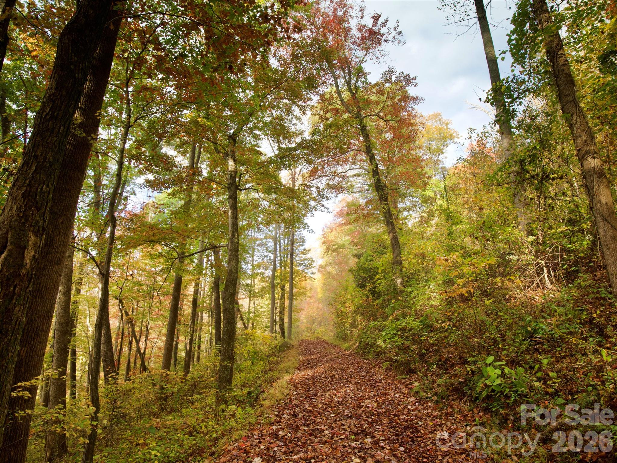 841 Blackthorne Lane Arden NC 28704