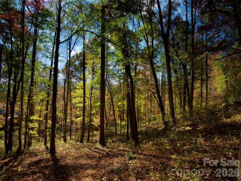 841 Blackthorne Lane Arden NC 28704