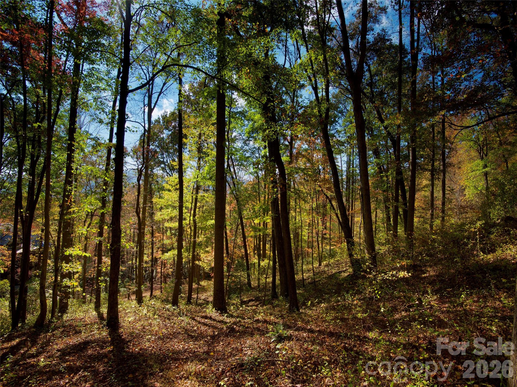 841 Blackthorne Lane Arden NC 28704