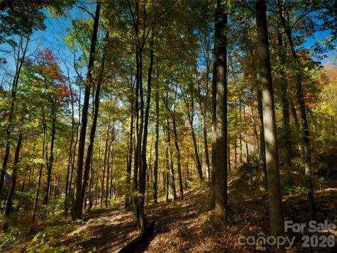 841 Blackthorne Lane Arden NC 28704