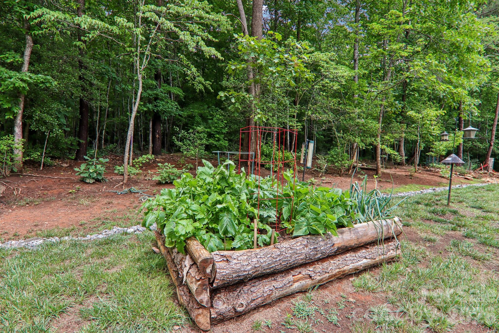 3131 Richard Street Morganton NC 28655