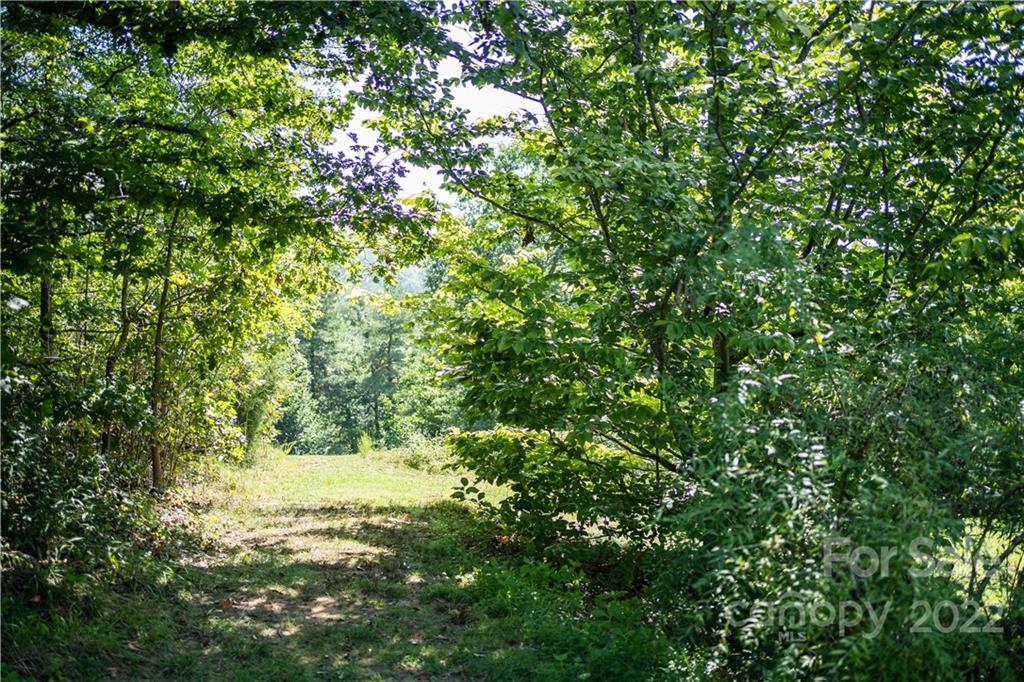 25 Fletcher Martin Road Alexander NC 28701