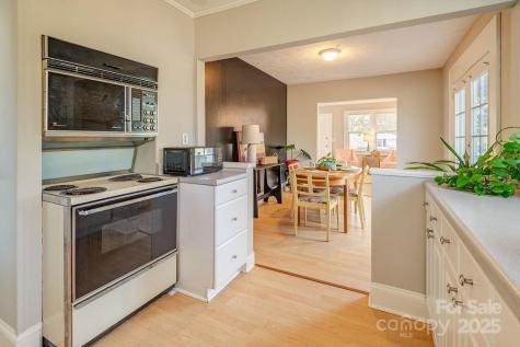 57 Craggy Avenue Asheville NC 28806