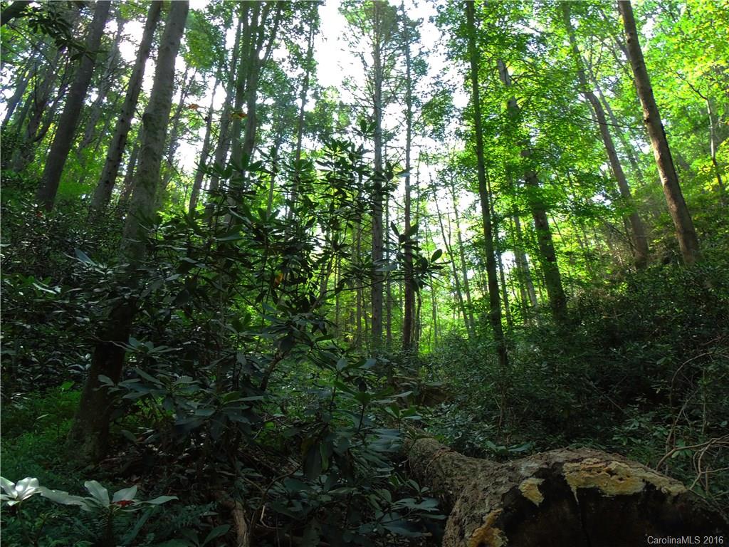 820 Baileys Branch Road Marshall NC 28753