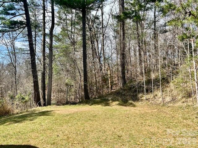 45 Marshbanks Ridge Weaverville NC 28787