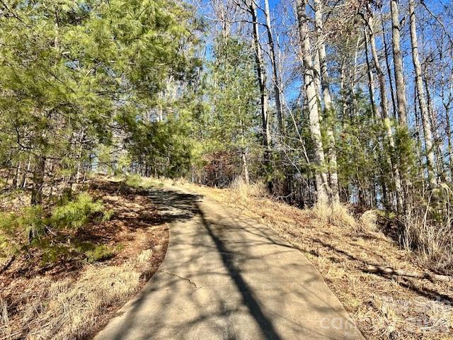 45 Marshbanks Ridge Weaverville NC 28787