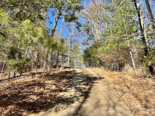 45 Marshbanks Ridge Weaverville NC 28787
