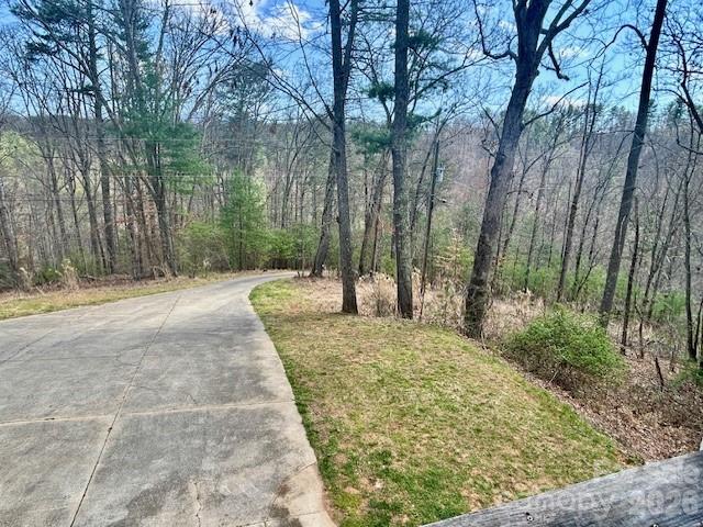 45 Marshbanks Ridge Weaverville NC 28787