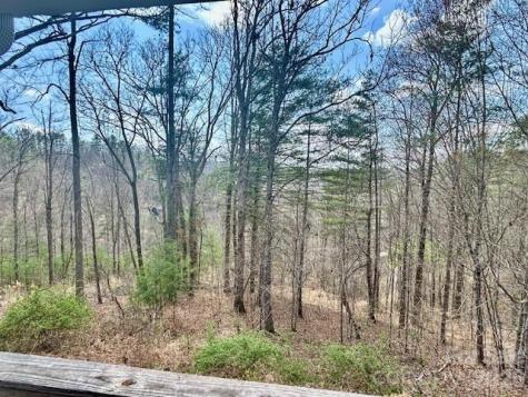45 Marshbanks Ridge Weaverville NC 28787