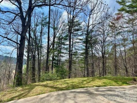 45 Marshbanks Ridge Weaverville NC 28787