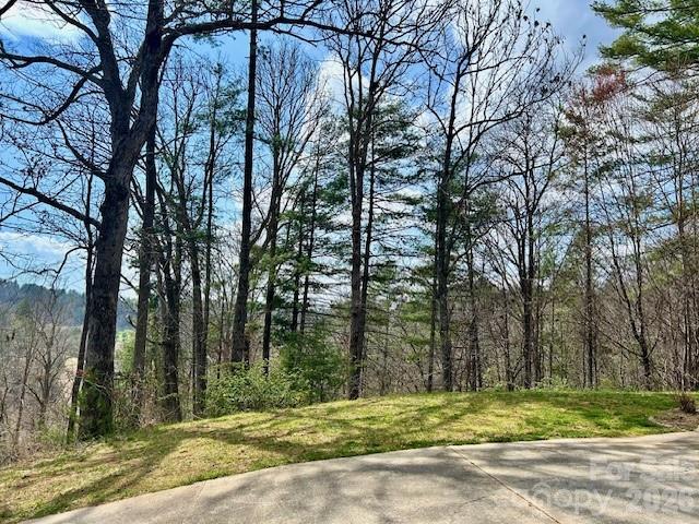 45 Marshbanks Ridge Weaverville NC 28787