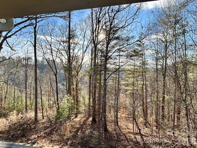 45 Marshbanks Ridge Weaverville NC 28787