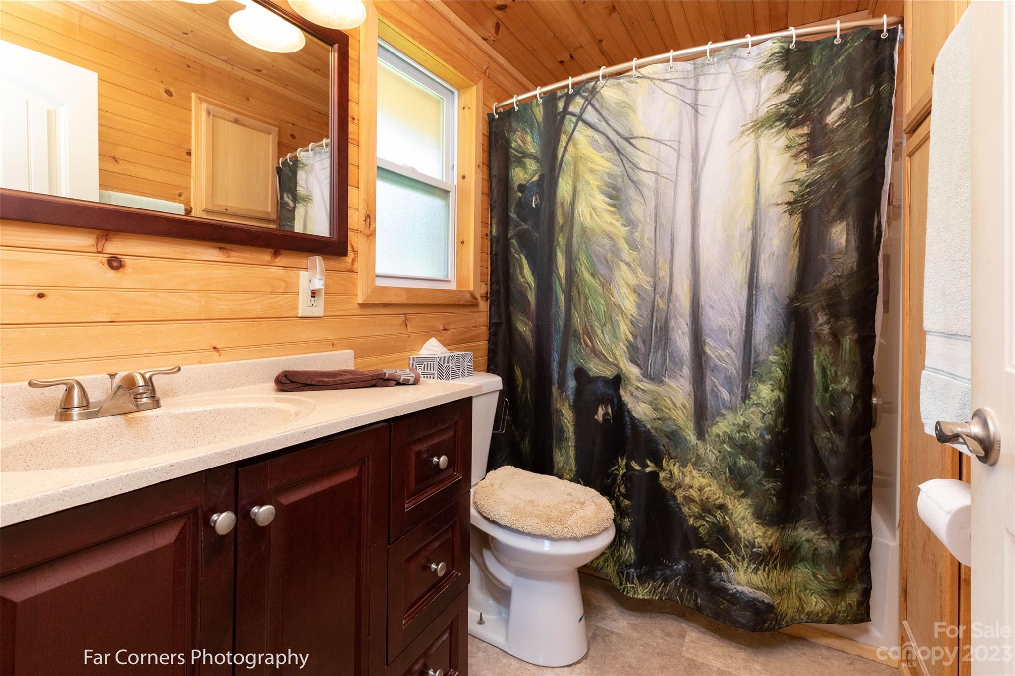 158 Morgan Cove Road Candler NC 28715