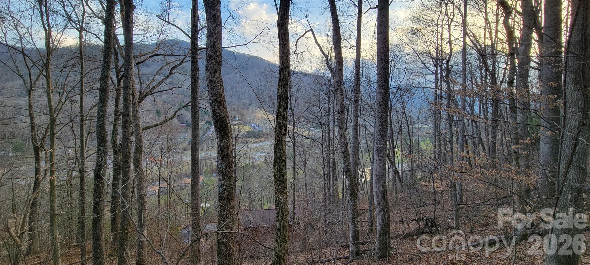445 Allison Drive Maggie Valley NC 28751