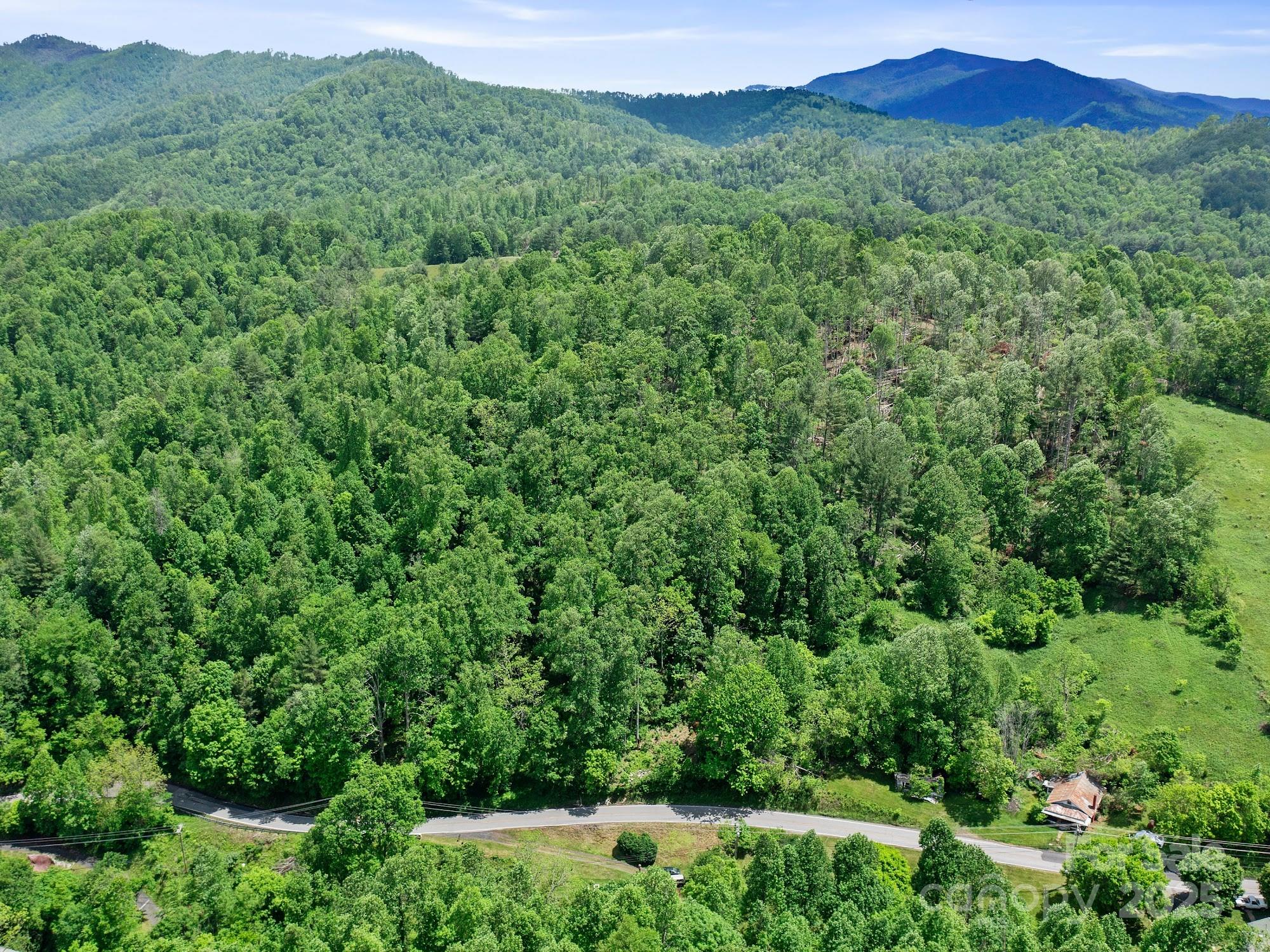 4685 Nc Highway 197 Highway Green Mountain NC 28740