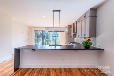 233 Broadway Street Asheville NC 28801