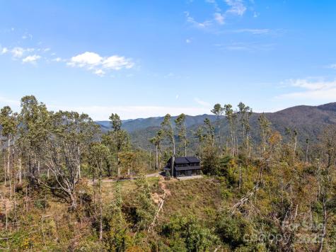 41 Windy Ridge Trail Asheville NC 28804