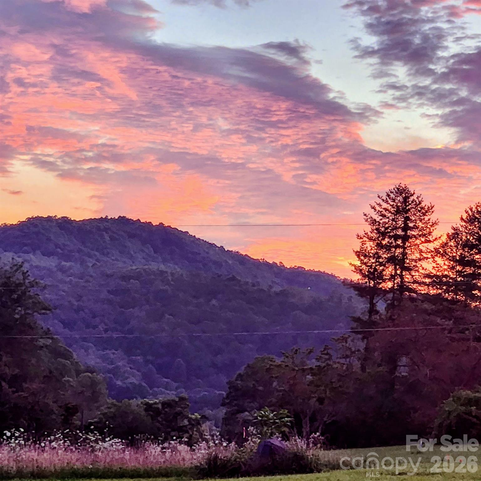 150 Brilliant Sky Road Penrose NC 28766