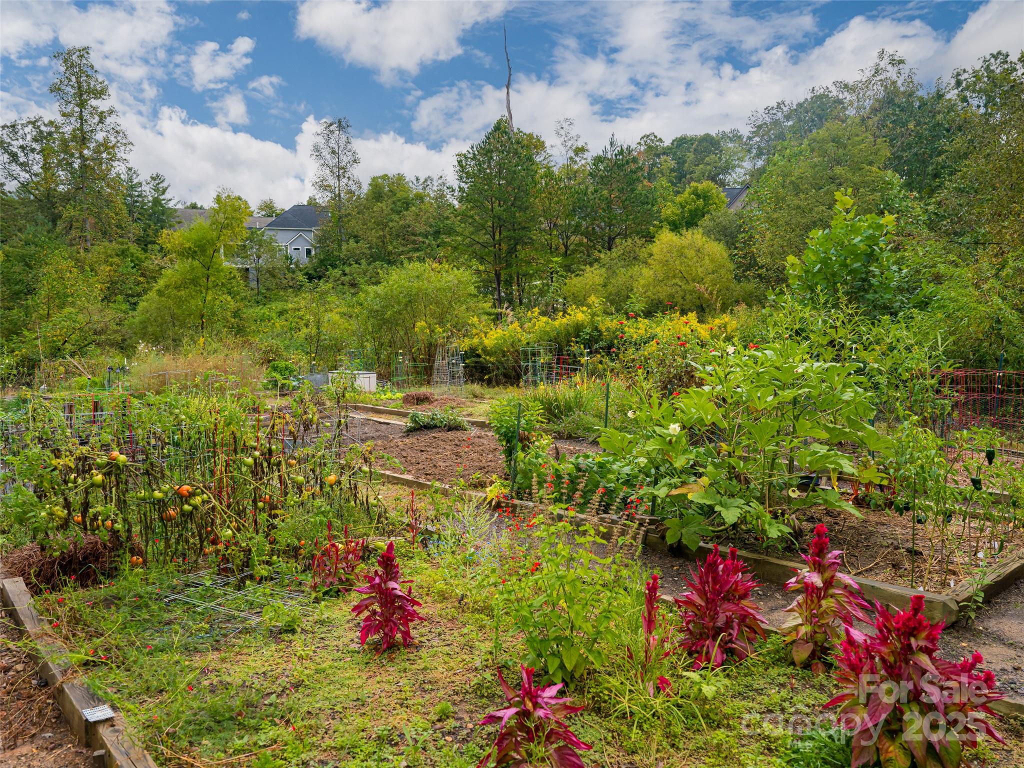 87 Chantilly Drive Asheville NC 28804