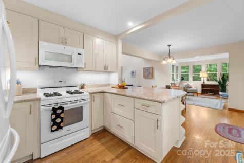 8 Cricket Lane Asheville NC 28804