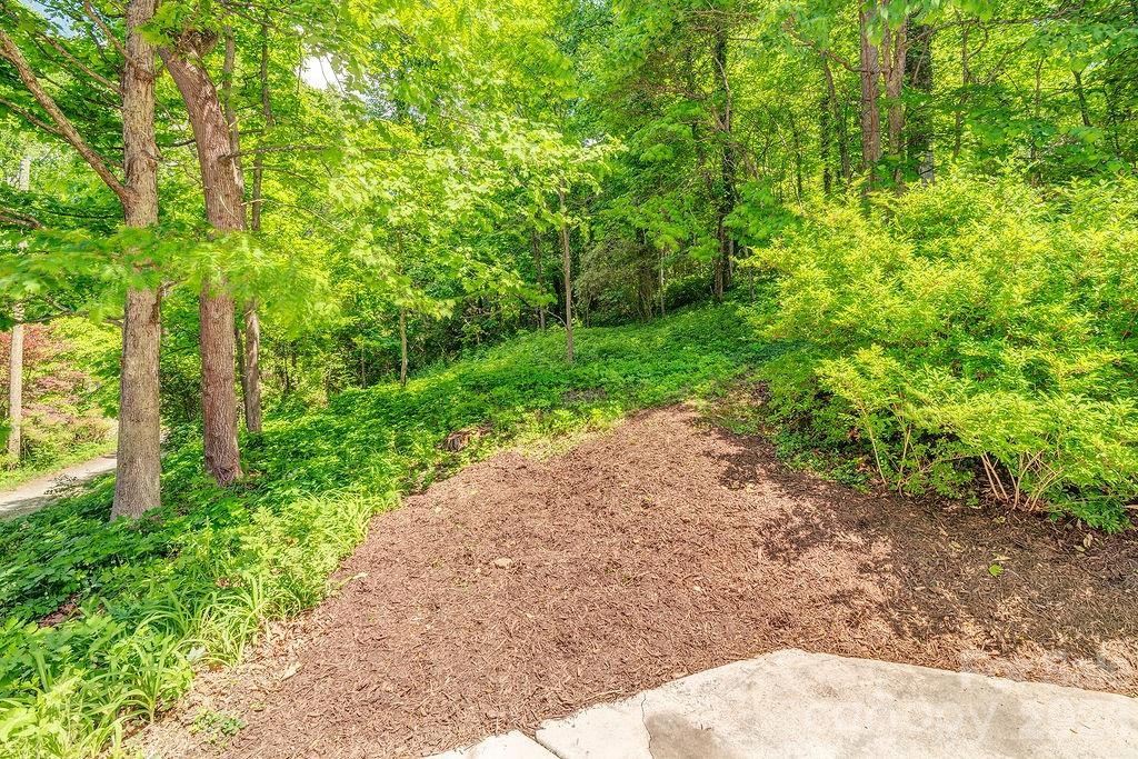35 Dogwood Road Asheville NC 28804