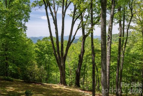 15 Hunters Way Asheville NC 28804