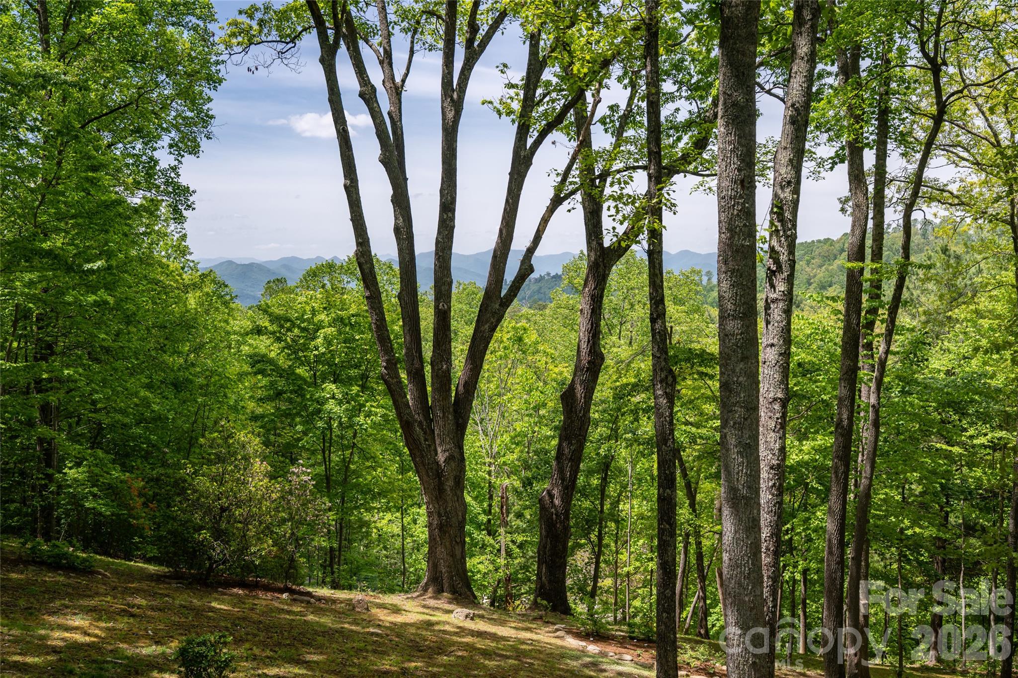 15 Hunters Way Asheville NC 28804