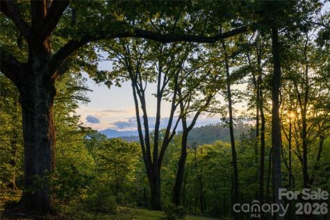 15 Hunters Way Asheville NC 28804