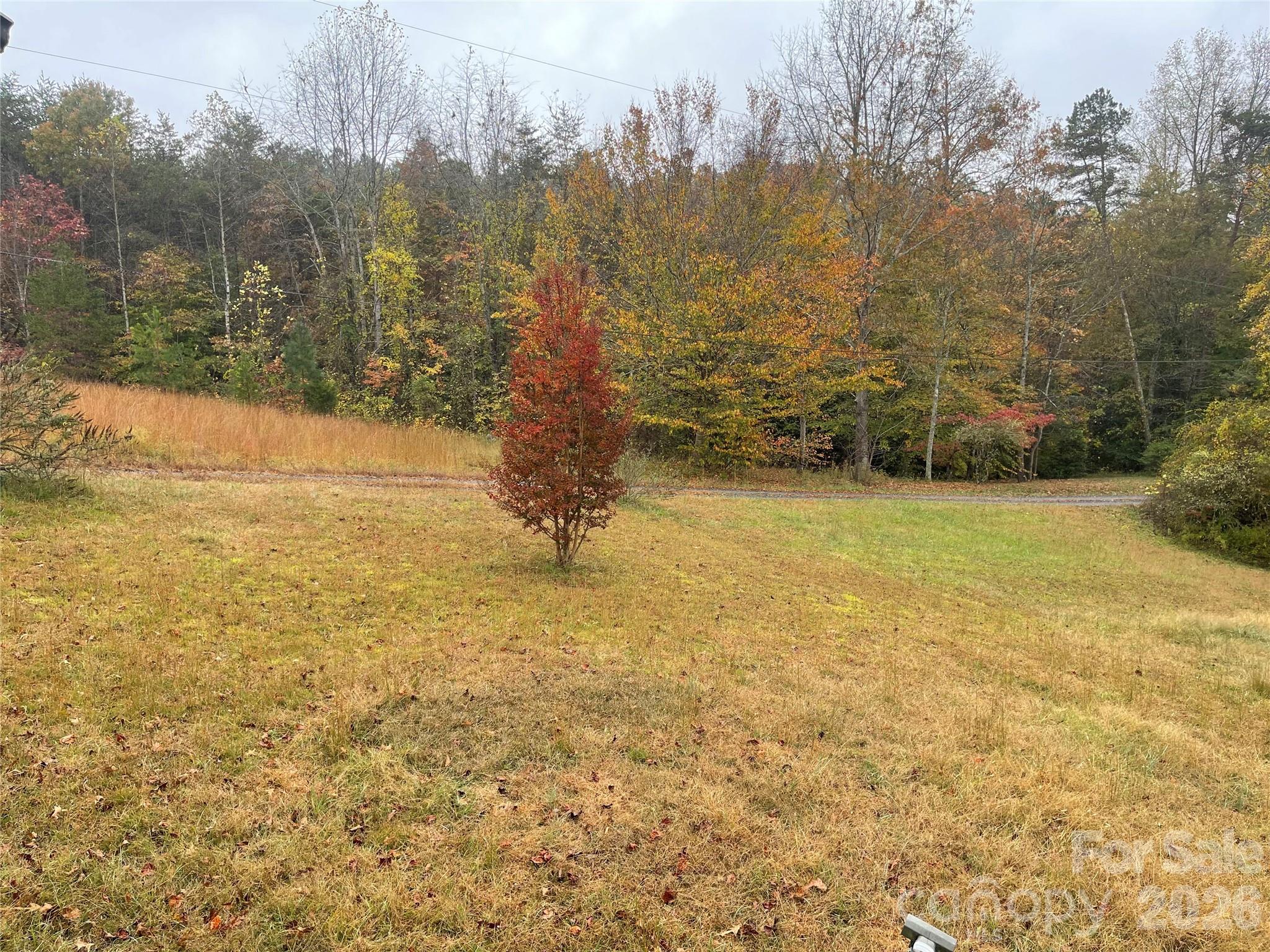 1305 Thunder Run Road Boonville NC 27011
