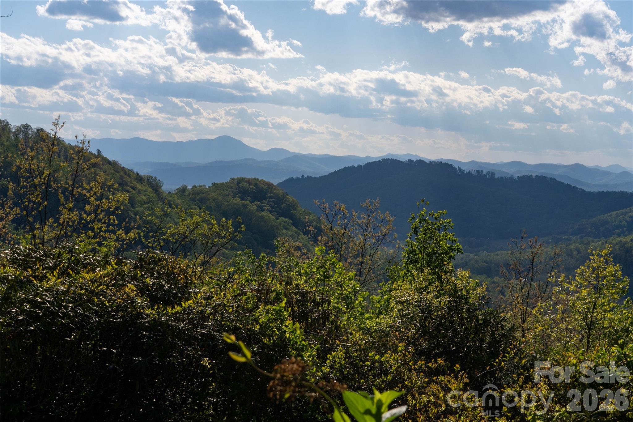 1412 N Bearwallow Road Fletcher NC 28732