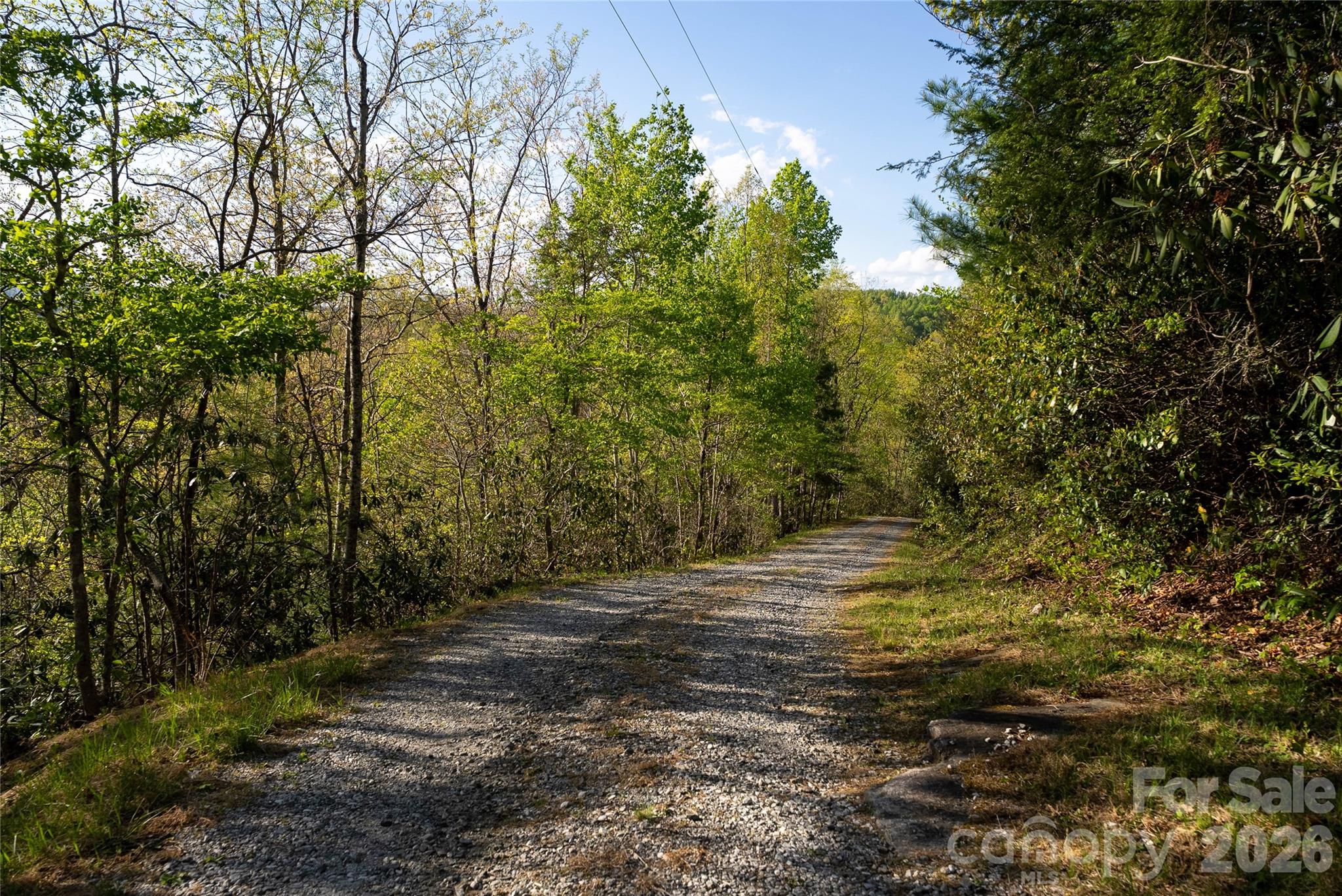 1412 N Bearwallow Road Fletcher NC 28732