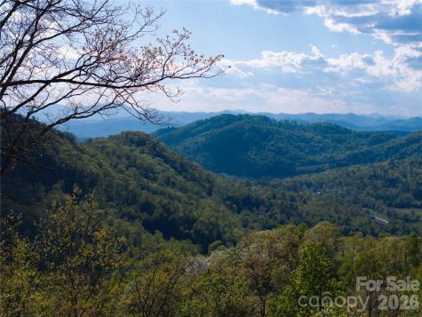 1412 N Bearwallow Road Fletcher NC 28732
