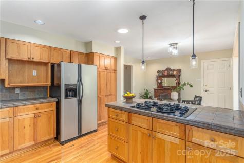 25 Brookcliff Drive Asheville NC 28804