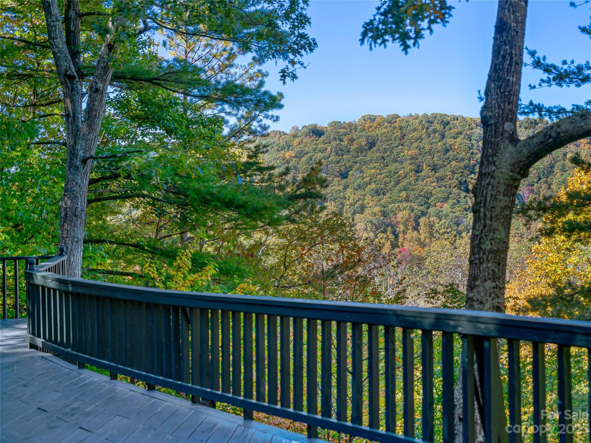 55 Covewood Road Asheville NC 28805