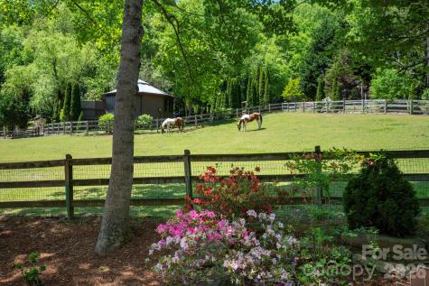14 Weeping Cherry Forest Road Fairview NC 28730