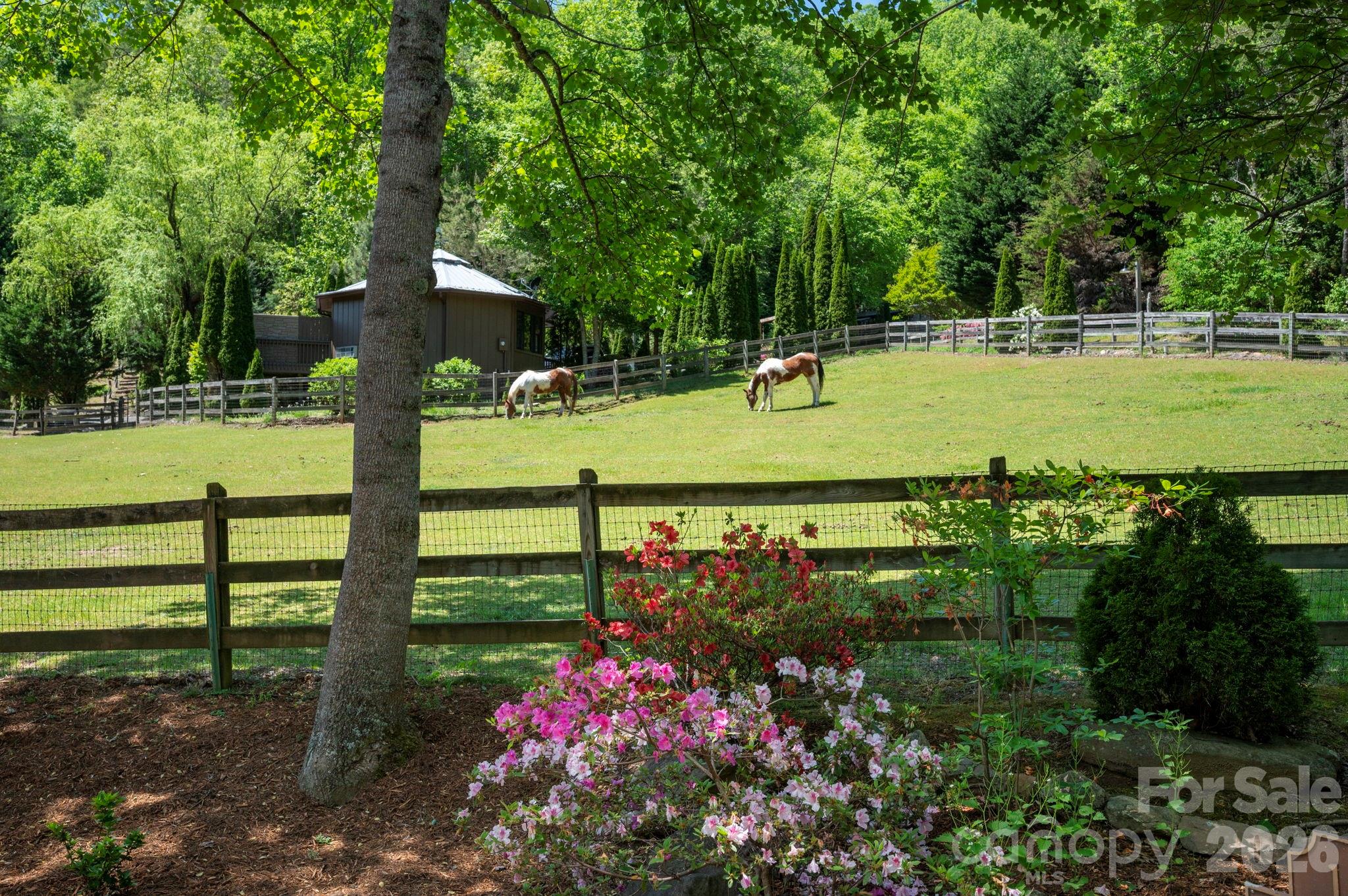 14 Weeping Cherry Forest Road Fairview NC 28730