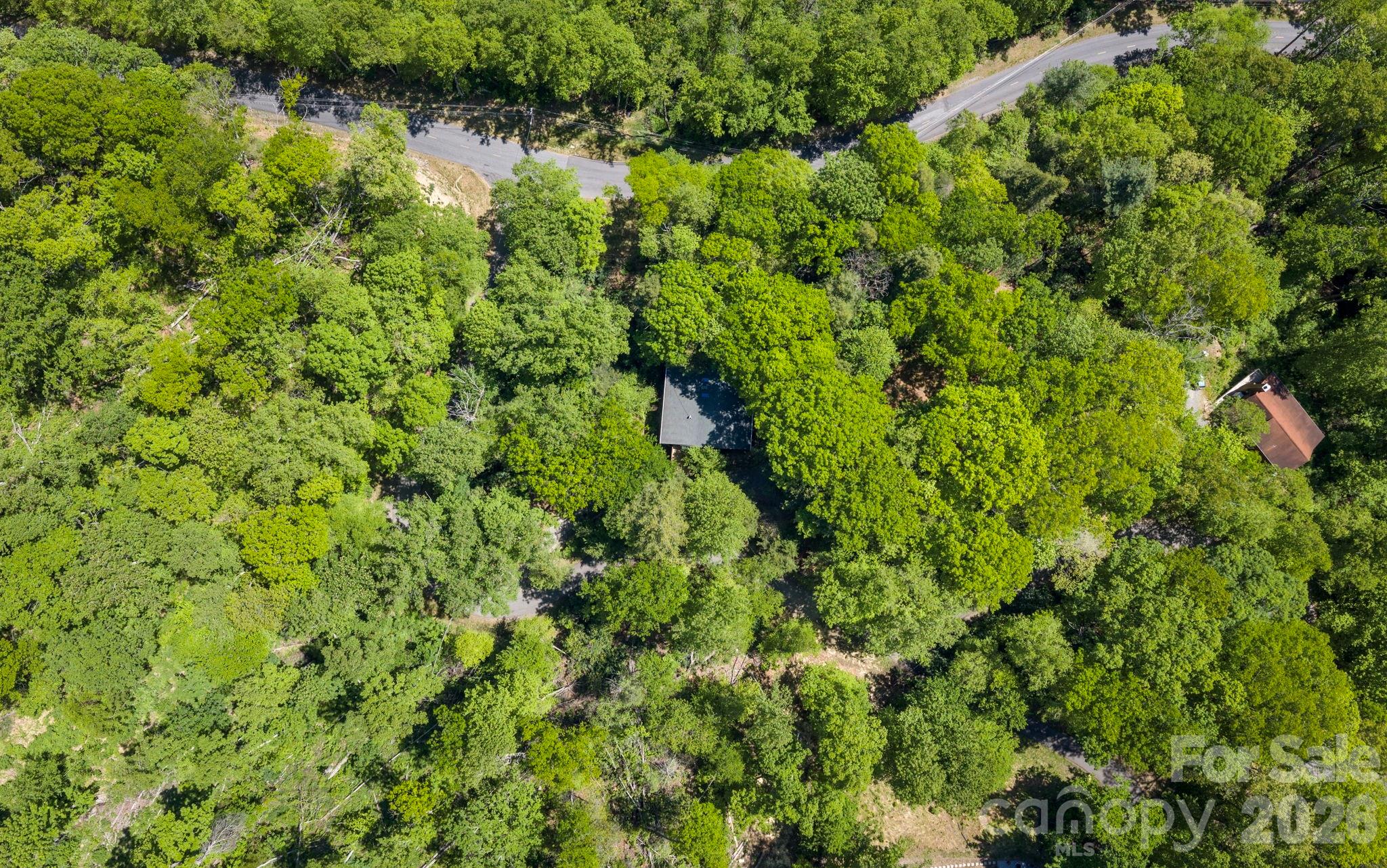 14 Weeping Cherry Forest Road Fairview NC 28730