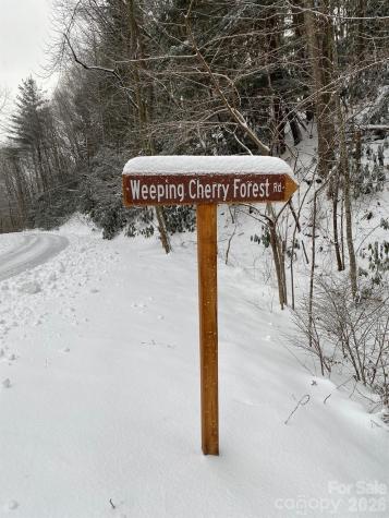 14 Weeping Cherry Forest Road Fairview NC 28730