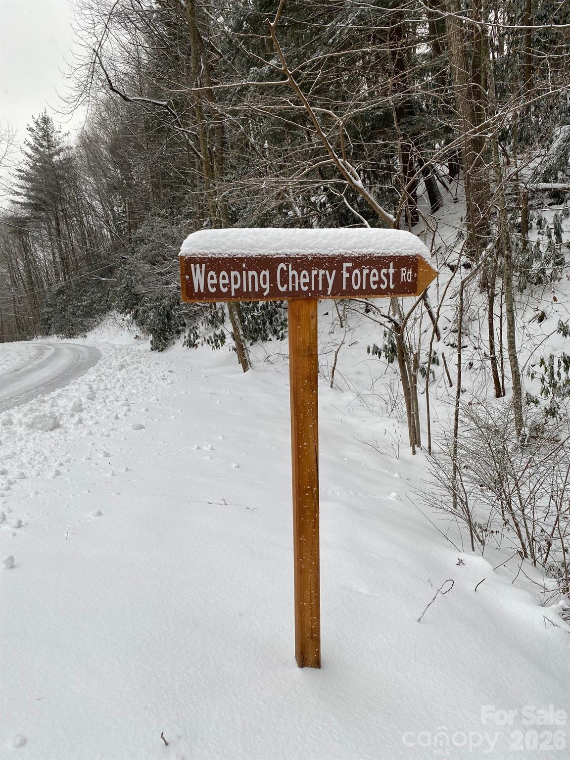 14 Weeping Cherry Forest Road Fairview NC 28730