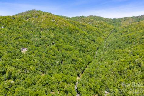 14 Weeping Cherry Forest Road Fairview NC 28730