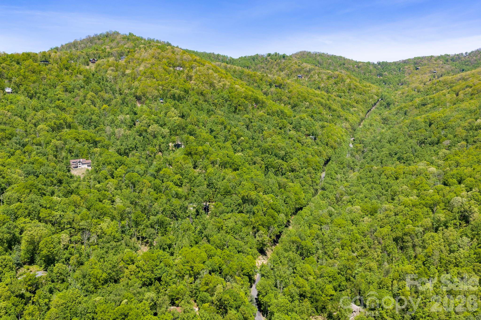 14 Weeping Cherry Forest Road Fairview NC 28730