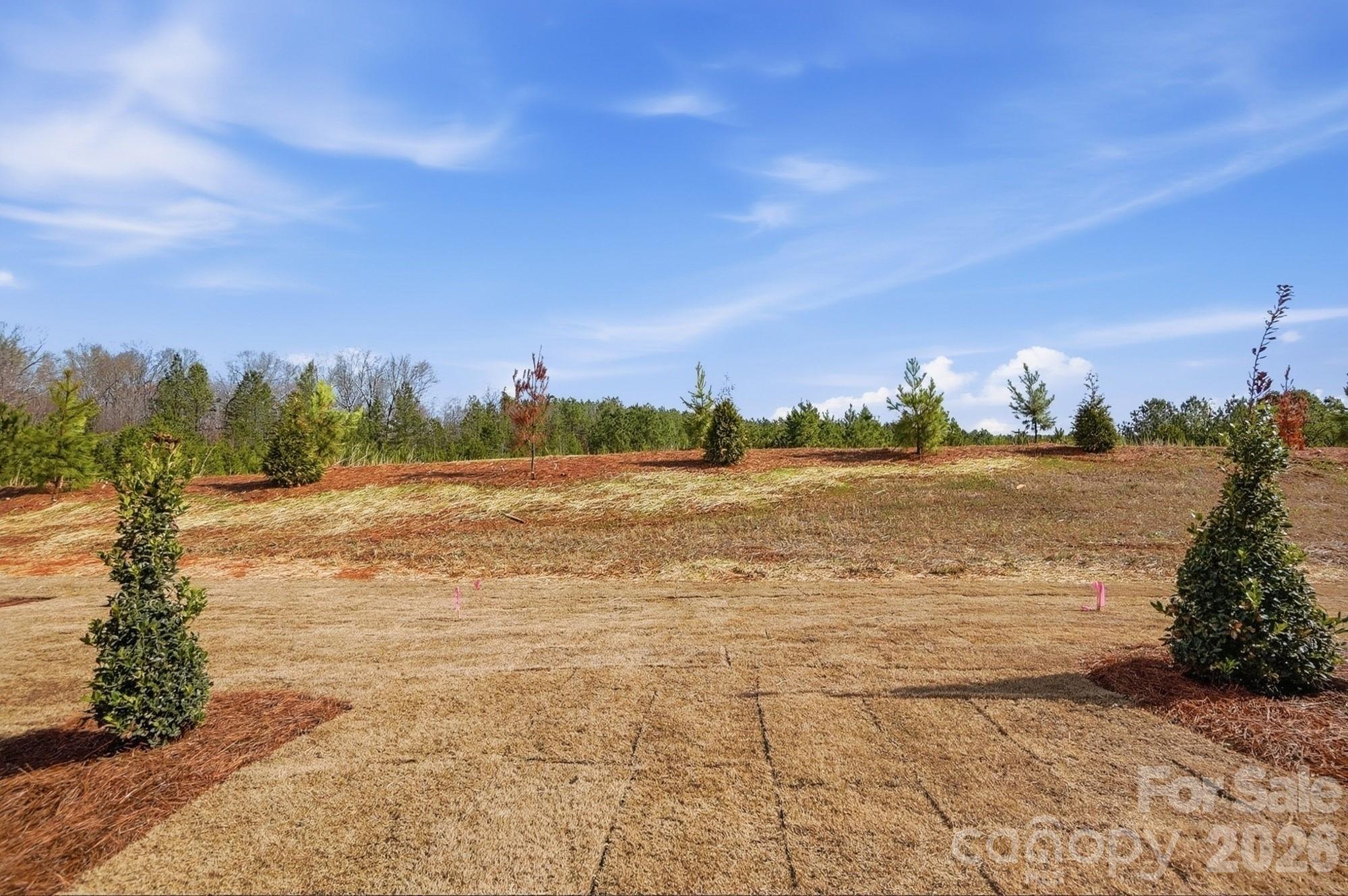 434 Blythe Townhome Lane Waxhaw NC 28173