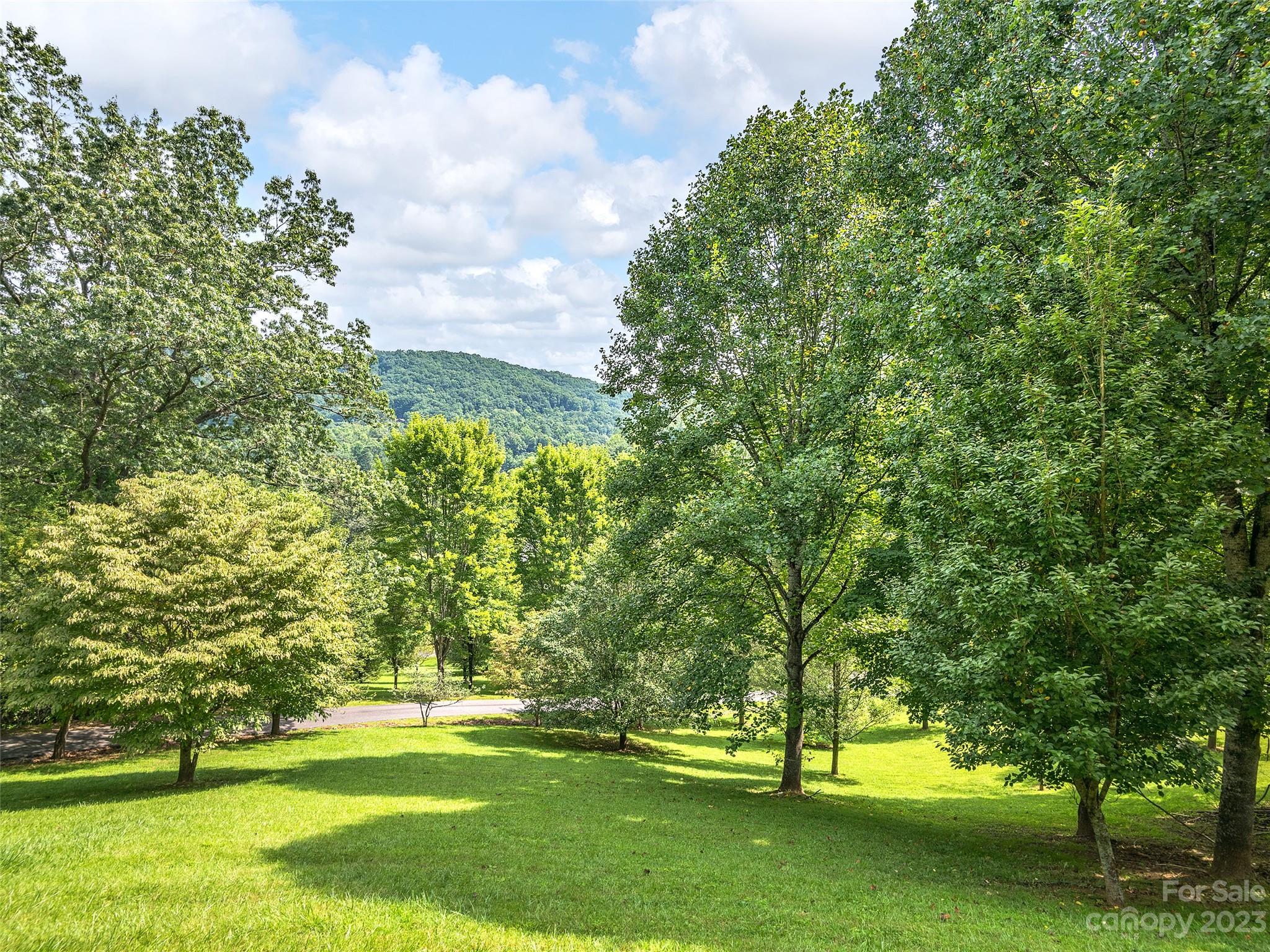 382 Cove Creek Lane Weaverville NC 28787