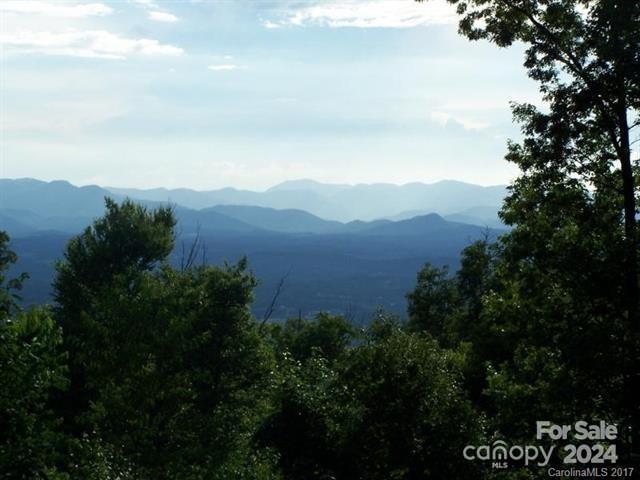 180 Britten Cove Road Weaverville NC 28787