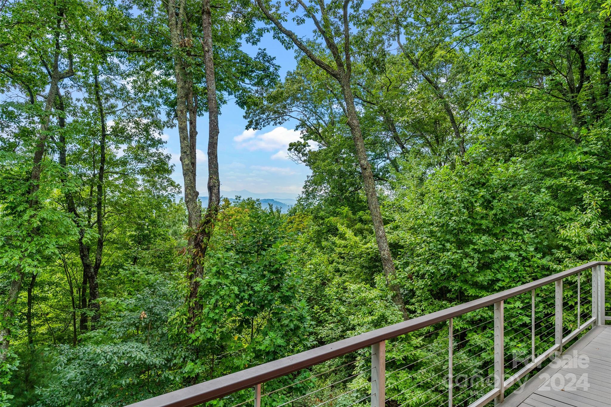 180 Britten Cove Road Weaverville NC 28787